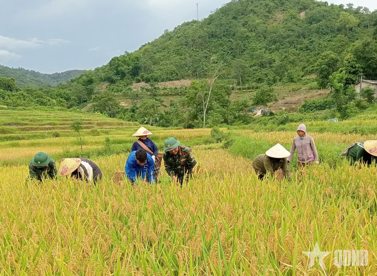 Đoàn Kinh tế - Quốc phòng 5 (Quân khu 4): Bám bản, bám dân xây thế vững biên cương

